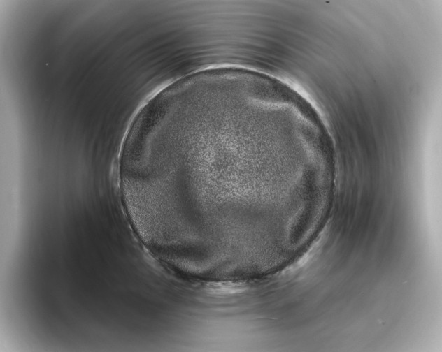 X0000095131145200712211325