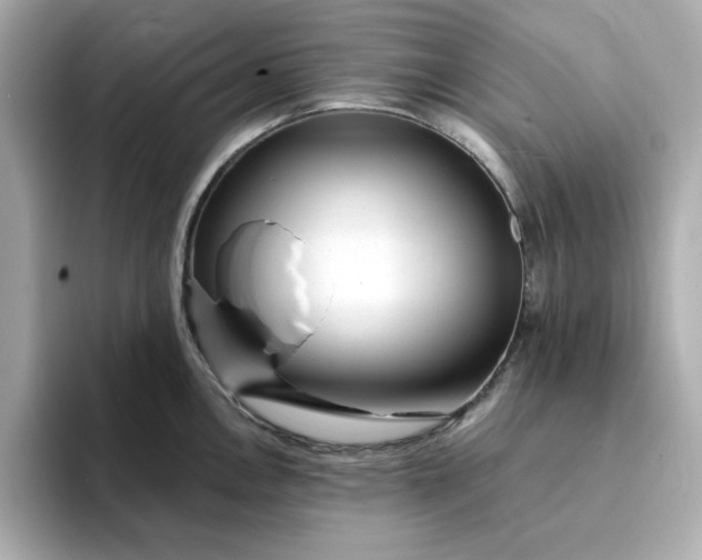 X0000095131146200712211325