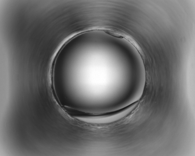 X0000095131148200712211325