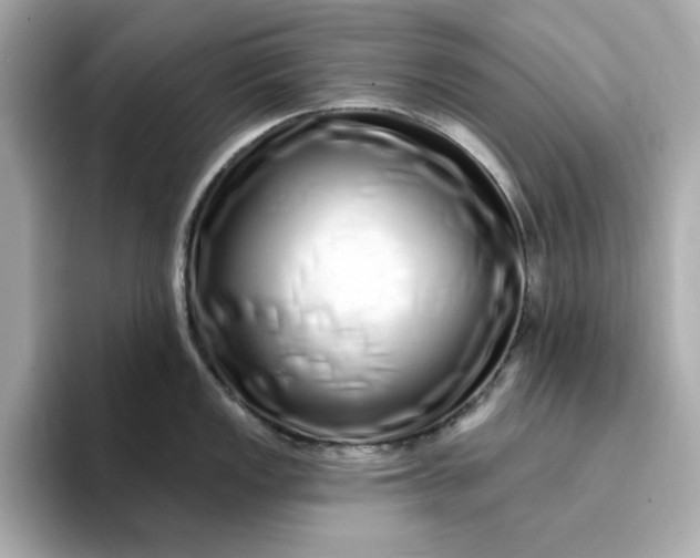 X0000095131149200712211325