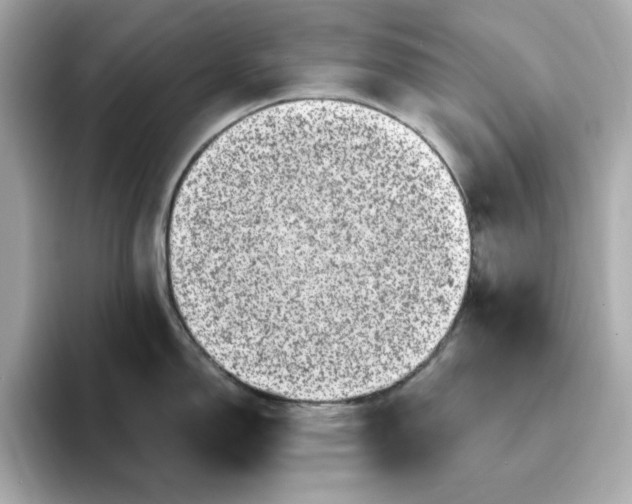 X0000095131150200712211325