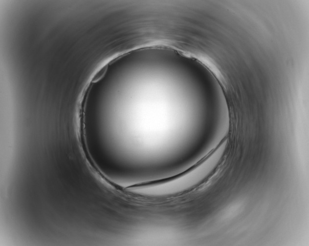 X0000095131151200712211325