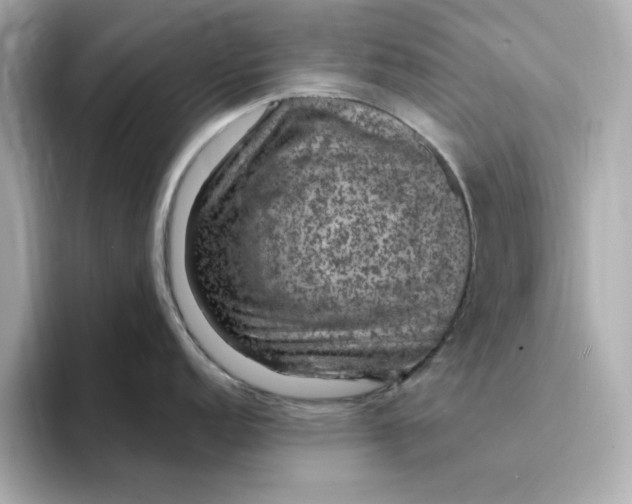 X0000095131152200712211325