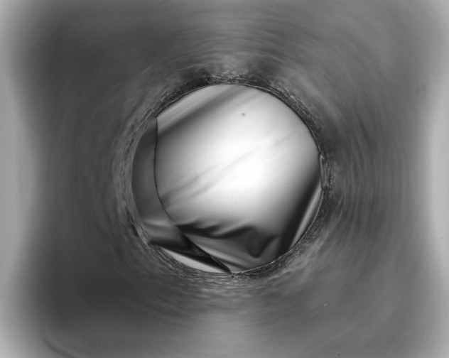 X0000095131153200712211324