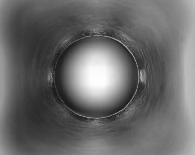 X0000095131155200712211324