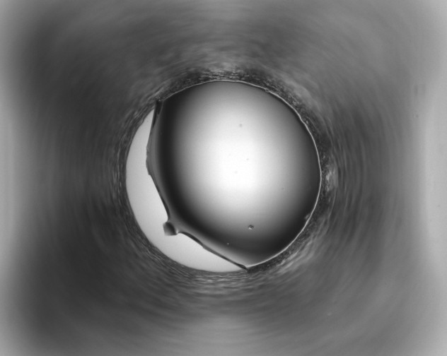 X0000095131156200712211324