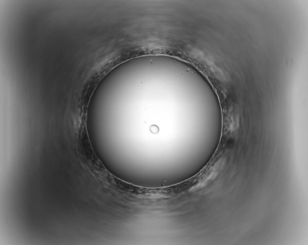 X0000095131157200712211324