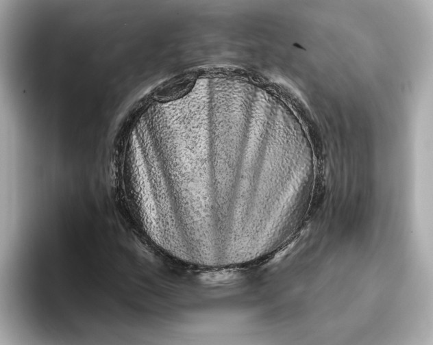 X0000095131159200712211324