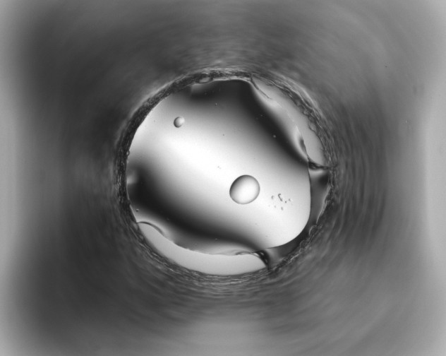 X0000095131160200712211324