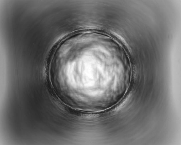 X0000095131163200712211324