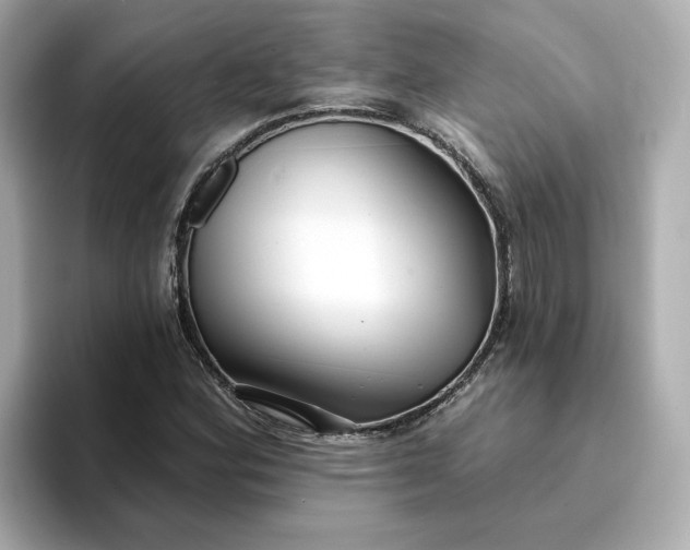 X0000095131164200712211324