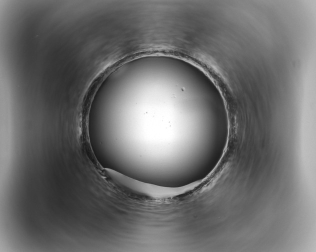 X0000095131165200712211324