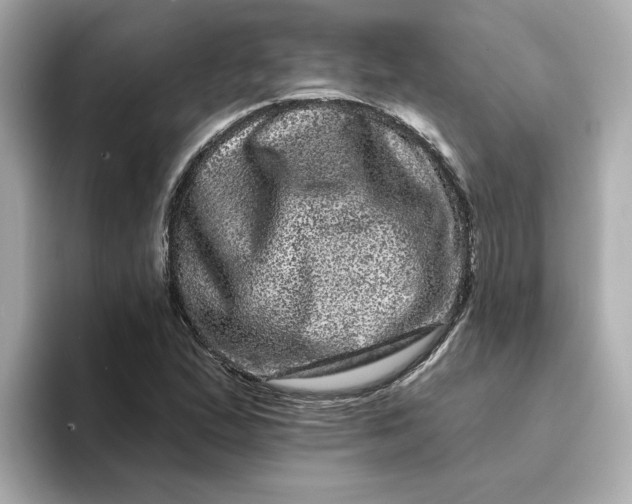 X0000095131167200712211324