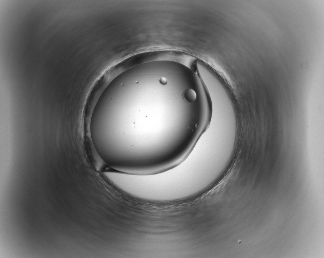 X0000095131173200712211324