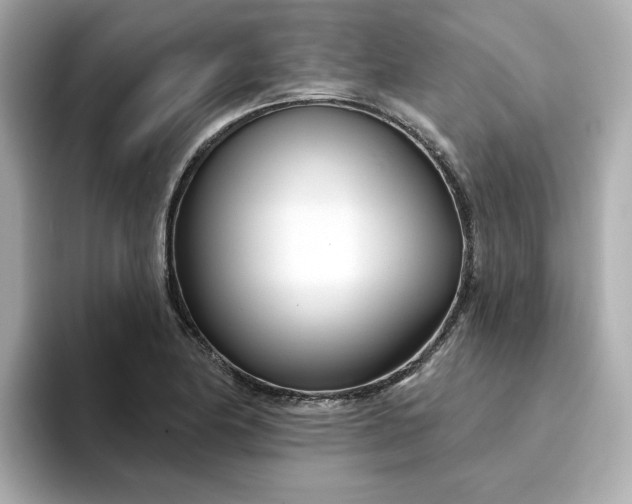 X0000095131174200712211324