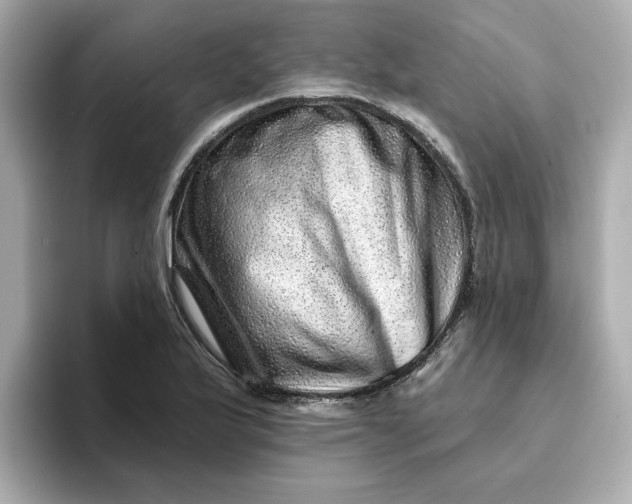 X0000095131175200712211324