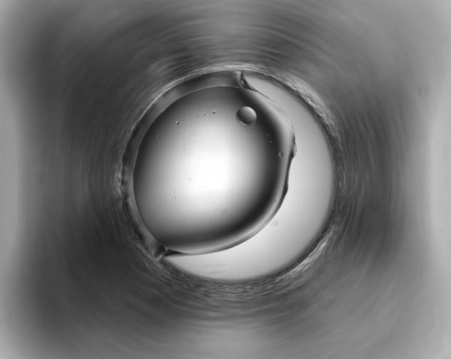 X0000095131177200712211324