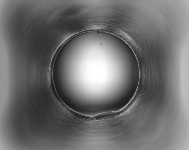 X0000095131178200712211324