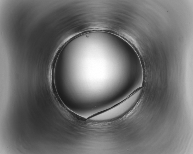 X0000095131179200712211324