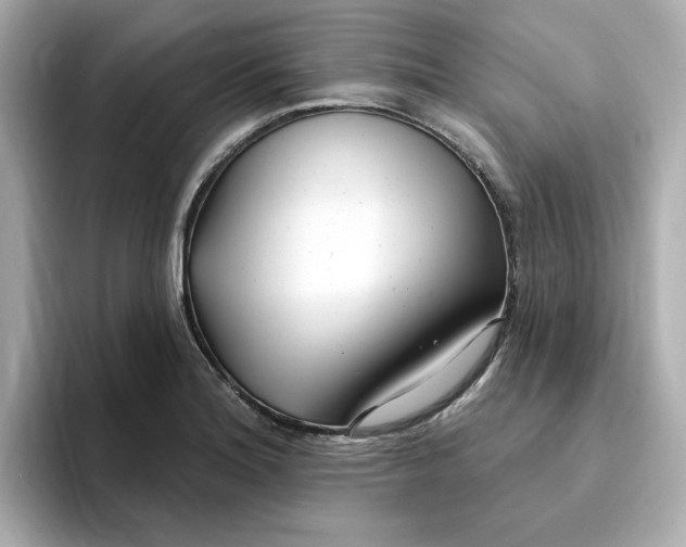 X0000095131180200712211324