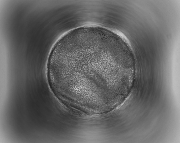 X0000095131183200712211324