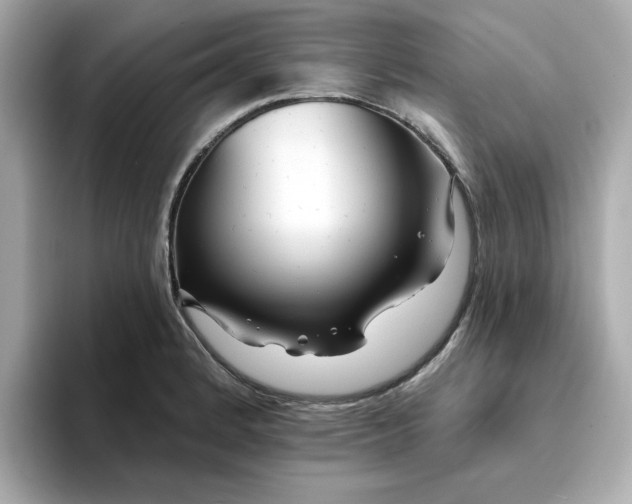 X0000095131184200712211324