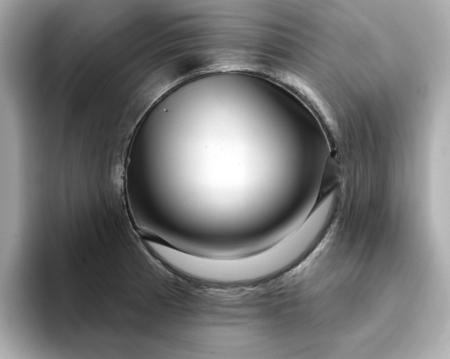 X0000095131185200712211324