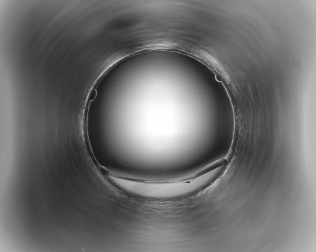 X0000095131186200712211324