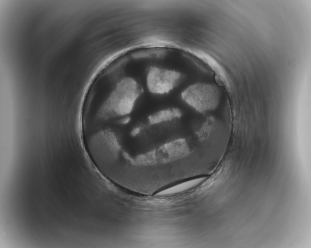 X0000095131191200712211323