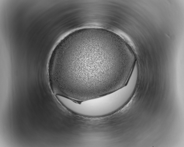 X0000095131192200712211323