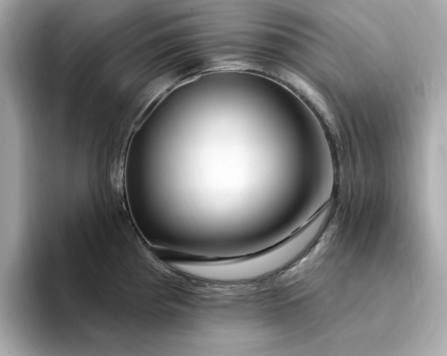 X0000095131193200712211323