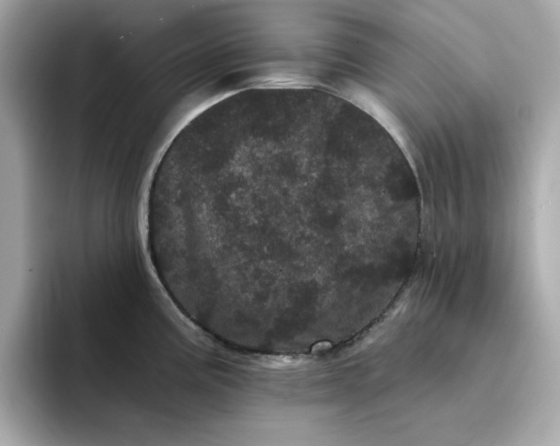 X0000095131195200712211323