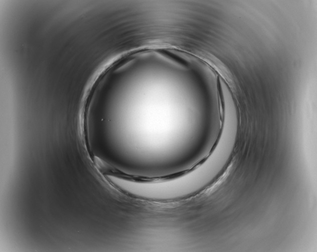 X0000095131196200712211323