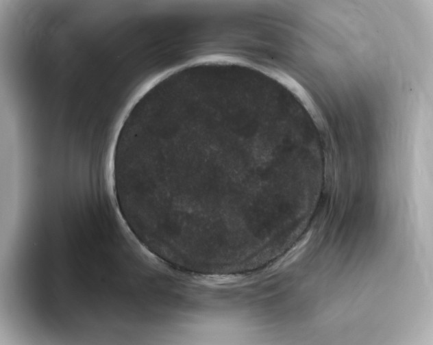 X0000095131199200712211323