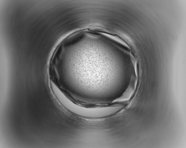 X0000095131200200712211323