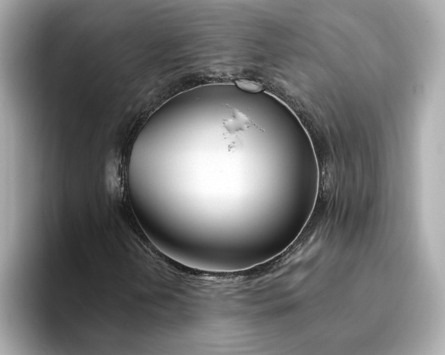 X0000095131202200712211323