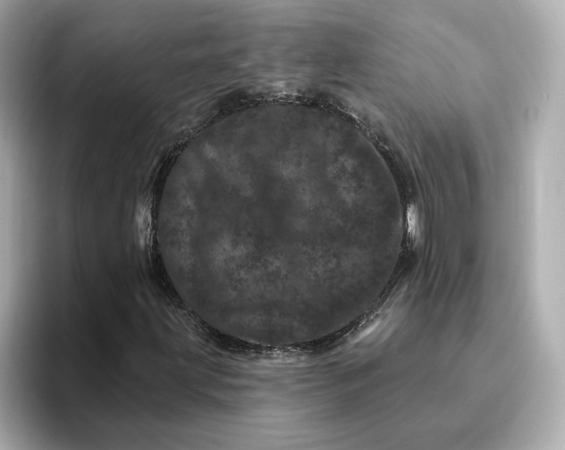 X0000095131203200712211323