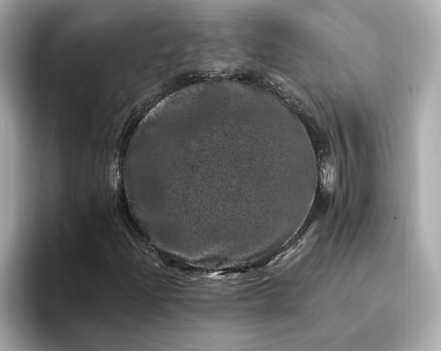 X0000095131204200712211323