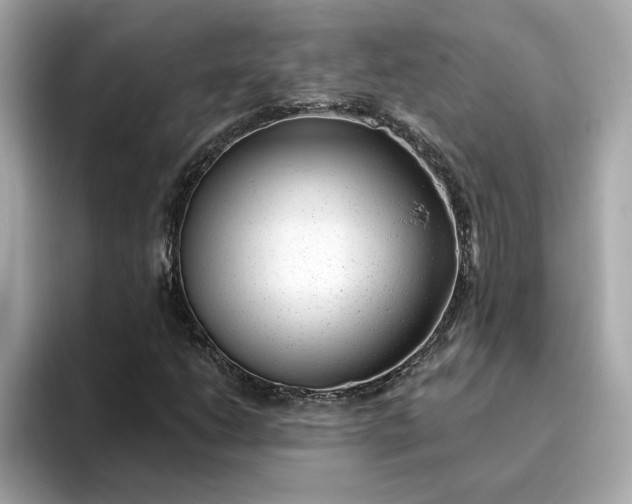 X0000095131206200712211323