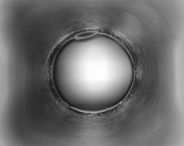 X0000095131208200712211323