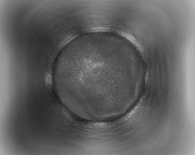 X0000095131209200712211323