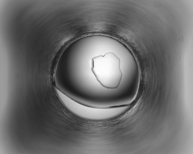 X0000095131210200712211323