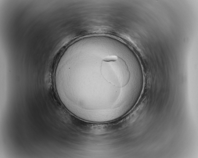 X0000095131211200712211323