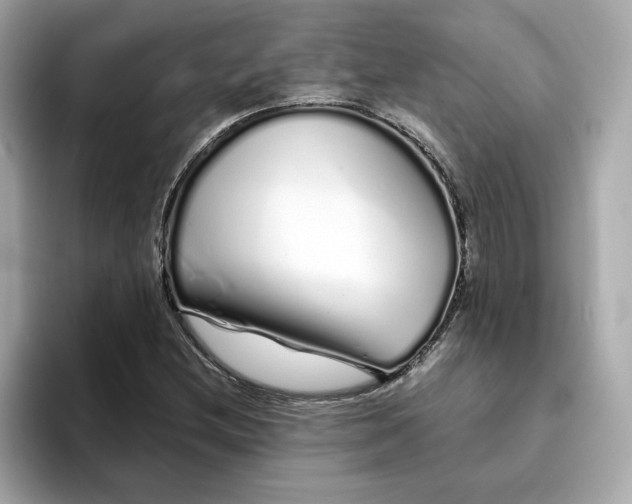 X0000095131212200712211323