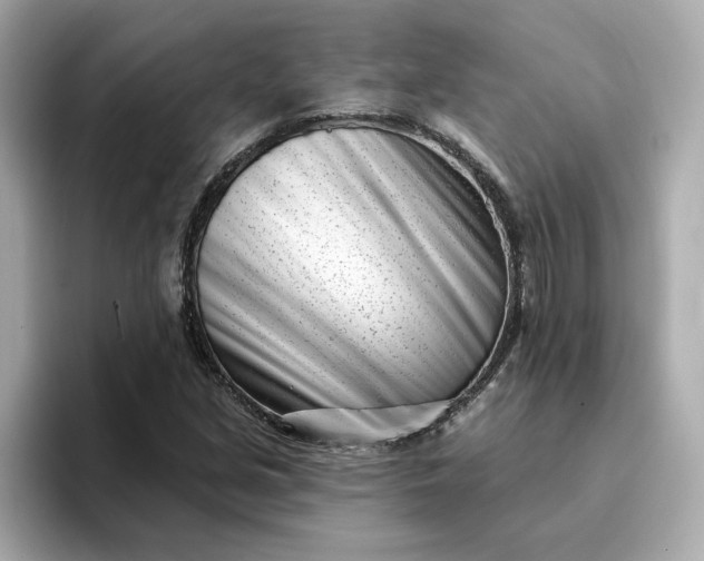 X0000095131213200712211323