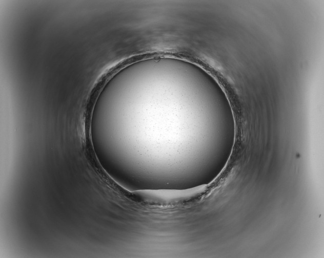 X0000095131214200712211323