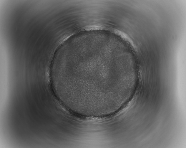 X0000095131217200712211323