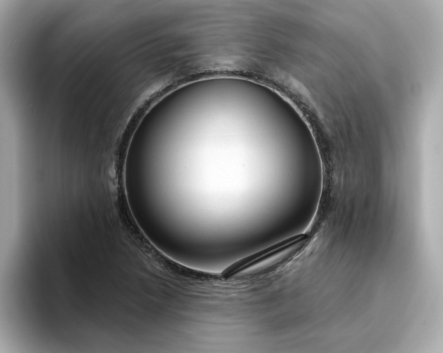 X0000095131218200712211323