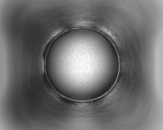 X0000095131219200712211323