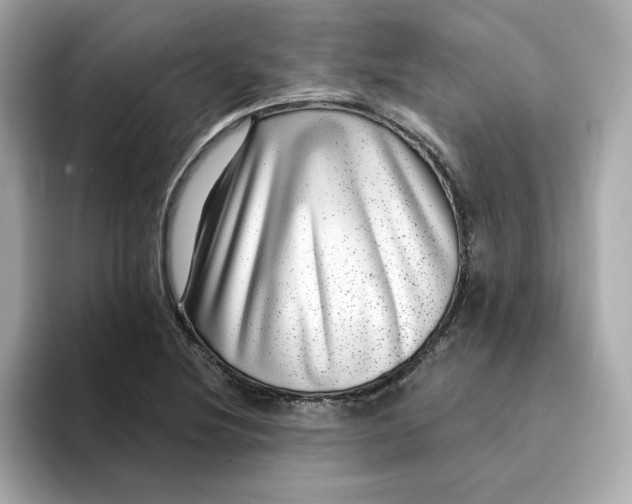 X0000095131220200712211323